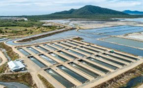 Aerial view of aquaculture farm in Queensland