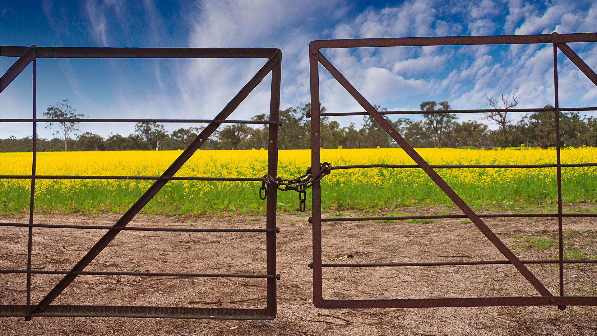 Closed farm gate leading onto a field