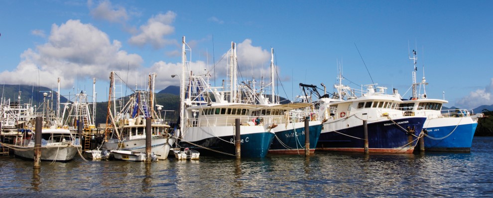 Fishing trawlers moored in marina