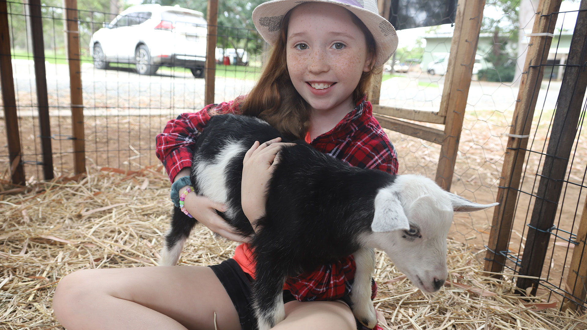 Young girl holding a baby goat