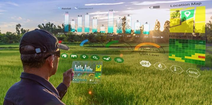 Man in blue shirt and blue cap in a crop field looking at virtual crop data in the sky