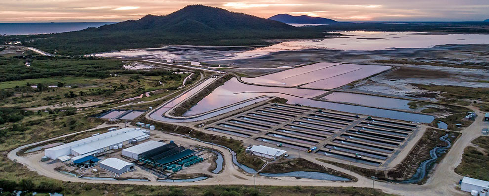 Aerial view of aquaculture farm in foreground with mountain and sea in background.