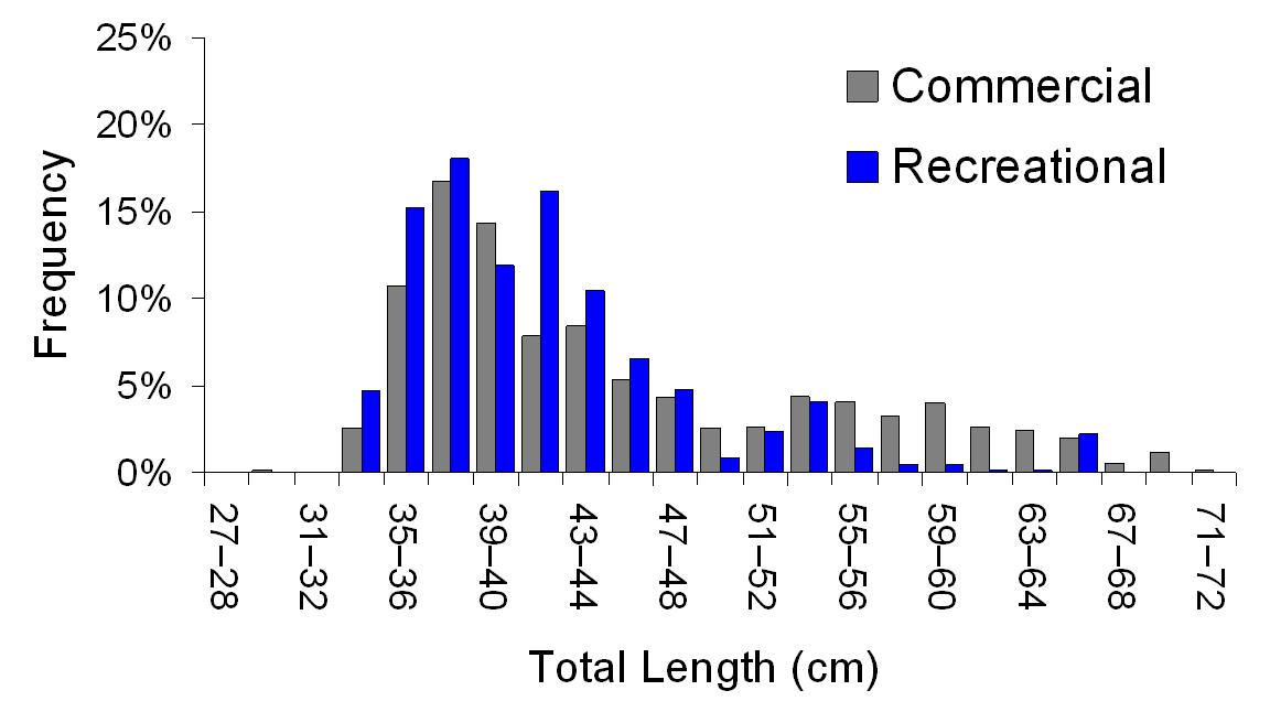 https://www.daf.qld.gov.au/__data/assets/image/0018/102537/plp-length-freq-graph.JPG